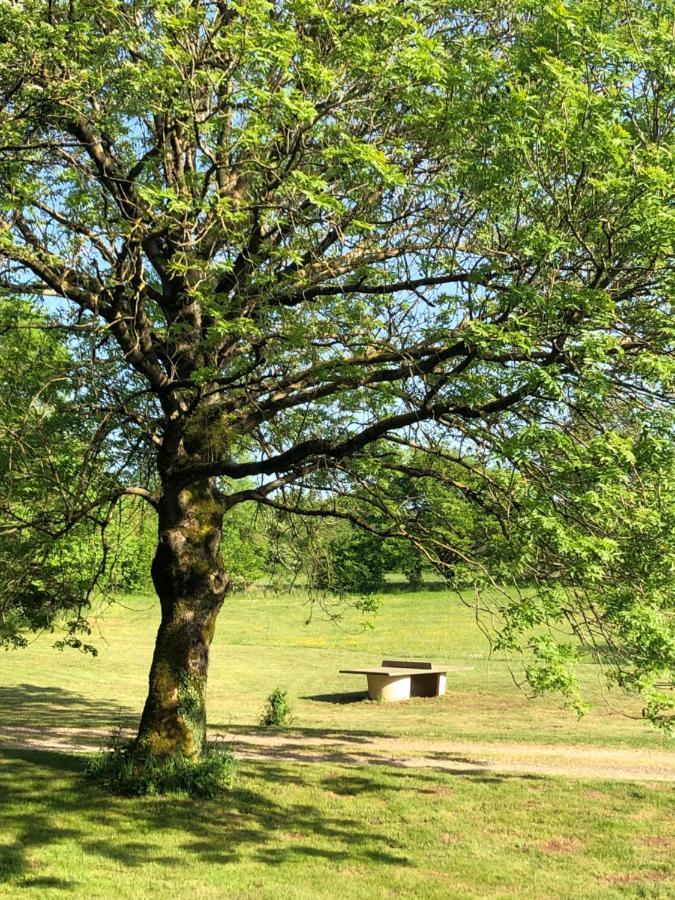 Domaine De Tapies 2 Gites Jusqu A 19 Personnes Cornus 외부 사진